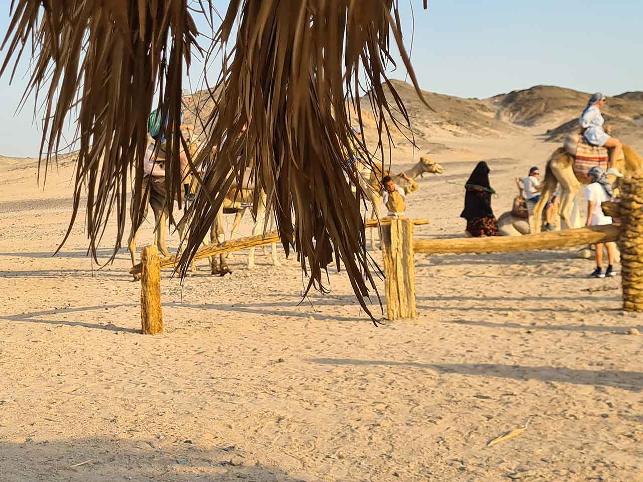 Mega Quad Tour in hurghada