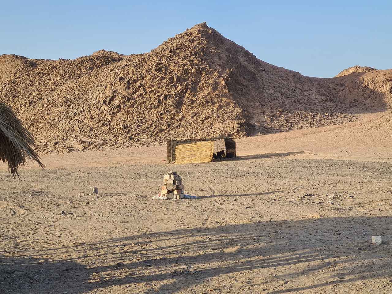 Mega Quad Tour in hurghada